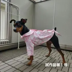 犬服　ハンドメイド　アロハシャツ　ミニピン　Mサイズ　試作品第１号のサムネイル