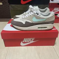 Nike Air Max 1 Premium 