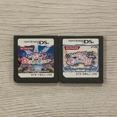 DS とんがりボウシと魔法のお店 おしゃれな魔法使い 2点セット