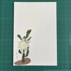 絵はがき 10枚　ポストカード 月下美人 (236)