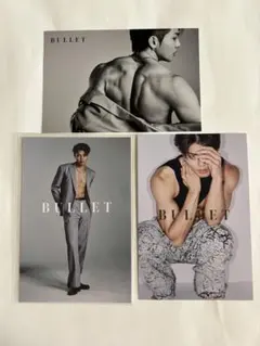 武知 海青　ボディ・ビジュアルブック 『BULLET』特典ポストカード3枚セット