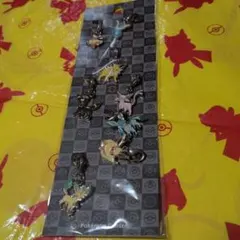 ポケモンセンター限定　全国ずかんメタルチャーム　ブイズ　イーブイ進化