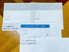 三井オーシャンクルーズ クルーズご優待券 フェリーサービスクーポンのサムネイル
