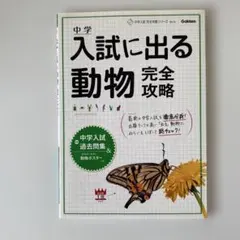 12/31〜1/5発送不可miyu123様 リクエスト 2点 まとめ商品