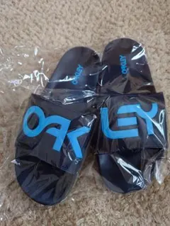 Item thumbnail for item 6b7bf4e4-02c5-4576-9025-c0a23d2bfd5c