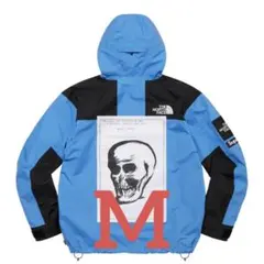 Supreme x The North Face Mountain Jacket