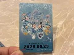 25周年限定　ディズニーチケットのサムネイル