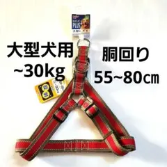 Item thumbnail for item ca9d5299-1ae1-416e-a272-e583316154cd