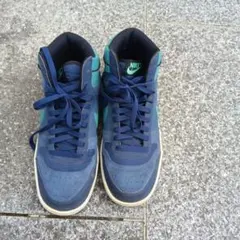 Item thumbnail for item 71314912-02be-4e2c-a304-e7a733a6b061