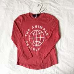 THE ANIMALS OBSERVATORY ロンT 4Yのサムネイル
