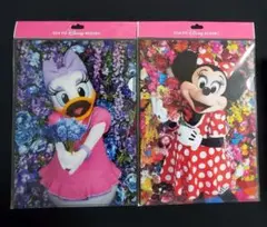 イマジニング　クリアファイル　ミニー 蜷川実花　実写 TDL デイジー