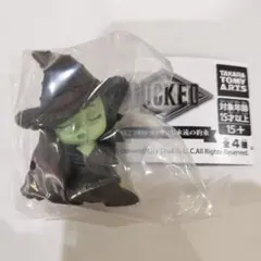 肩ズンFig. Wicked ウィキッド 永遠の約束　エルファバ