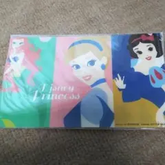 付録♪ ディズニープリンセス ファイル