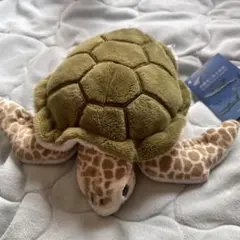 美ら海水族館　ミズガメぬいぐるみ　Sサイズ