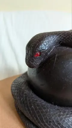 蛇巻き　キャンドル 赤い目　新品未使用　パイソン