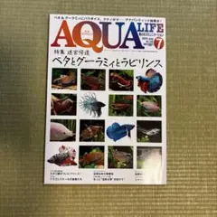 2025年最新】月刊アクアライフの人気アイテム - メルカリ