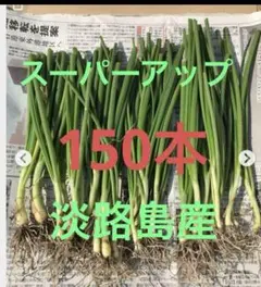 fumi様専用