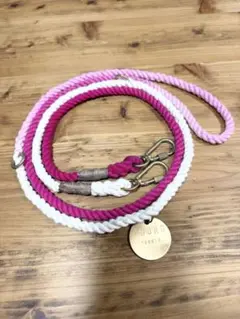 Item thumbnail for item 9c6c2ad8-d740-4d9b-a337-e7b986eaa57d