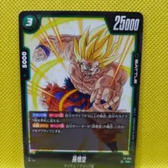 交流会プロモ 孫悟空 FP-034