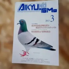 愛鳩の友 2013年3月号 鳩レース専門誌