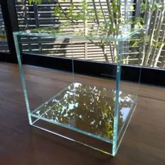 2026年最新】ada キューブ 20の人気アイテム - メルカリ