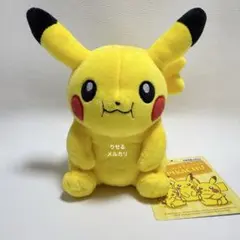美品 マイピカチュウ Myピカチュウ　ぽっちゃり