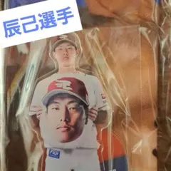 辰己選手　#8 　ガラポン