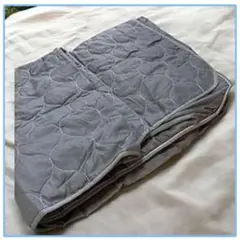 Item thumbnail for item 5be38b0d-d9b6-4f3a-a36f-9cf0ff807605