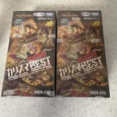 水闇自然マルルデッキ＆悪感謝祭 カリスマBEST セット - メルカリ