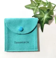 ♥美品♥ティファニー巾着袋 ティファニーポーチ ボタン式 Tiffany