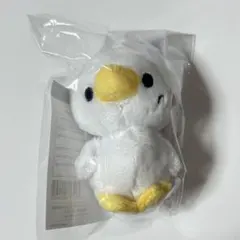 イトゥク　ぬいぐるみキーホルダー　ファンライトアクセサリー　スパショ　スジュ 2026年最新】イトゥク ぬいぐるみの人気アイテム - メルカリ