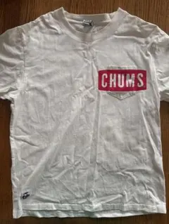 チャムスTシャツ