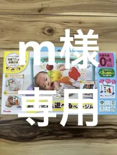 【美品】People 新生児から遊べるベビージム TB-103