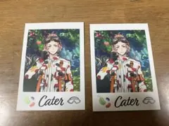 ツイステ展 ランダムカードコレクション ケイト 2枚