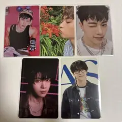 ゼベワンメテュトレカ