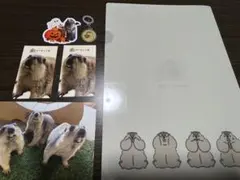 マーモット村　来場者特典　マーモットグッズ