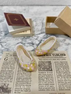 22cm 1/6サイズ　可動ボディ　バレエシューズ