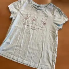any FAM 猫イラスト Tシャツ 130