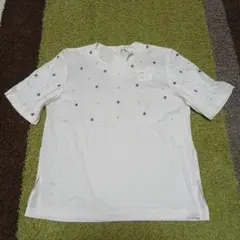 Item thumbnail for item 8c1e393e-ef76-4e04-83fd-bb726b3ebcb6