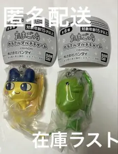 たまごっち カラフルマルチチャーム ガチャ まめっち くちぱっち