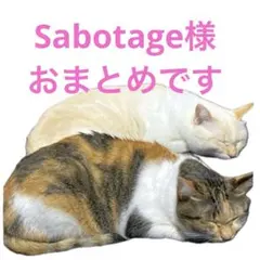 Sabotage プロフご一読ください様 リクエスト 5点 まとめ商品
