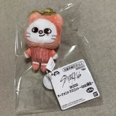 StrayKids GIGO 한정 SKZOO 오너먼트 마스코트 지닐렛