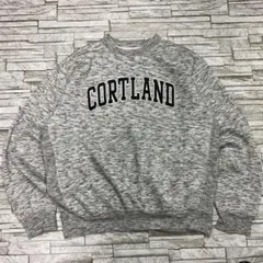 90s MV SPORT スウェット 刺繍デザイン CORTLAND リバース風