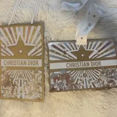 Dior ショッパー