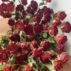 現品限り81.ドライフラワー花材小輪スプレーバラ15cm前後30本25日まで