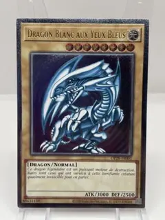 2025年最新】青眼の白龍 レリーフの人気アイテム - メルカリ