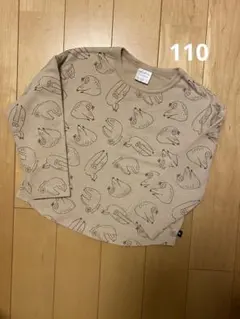 Item thumbnail for item 36c8928b-72ef-40fd-bcb0-4dd29080eb0d