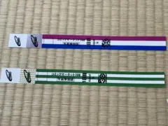 C108 コミケ108 午前入場 リストバンド 1日目&2日目 2枚セット - メルカリ
