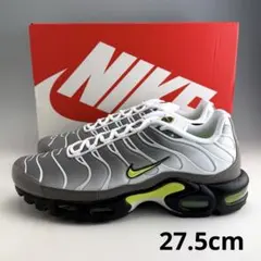 27.5cm ナイキ エアマックスプラス 