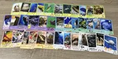 鳥羽水族館 コレクションカード